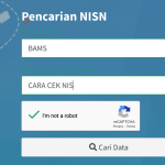 Cara Cek NIS