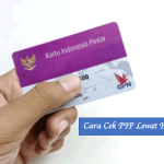 Cara Cek PIP Lewat HP