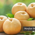 Manfaat Buah Pir