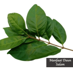 Manfaat Daun Salam