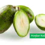 Manfaat Kedondong