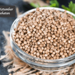 Manfaat Ketumbar