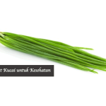 Manfaat Kucai