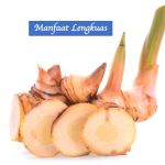 Manfaat Lengkuas