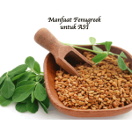 Manfaat Fenugreek untuk ASI