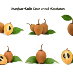 Manfaat Kulit Sawo