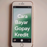 Cara Bayar GoPay Pinjam